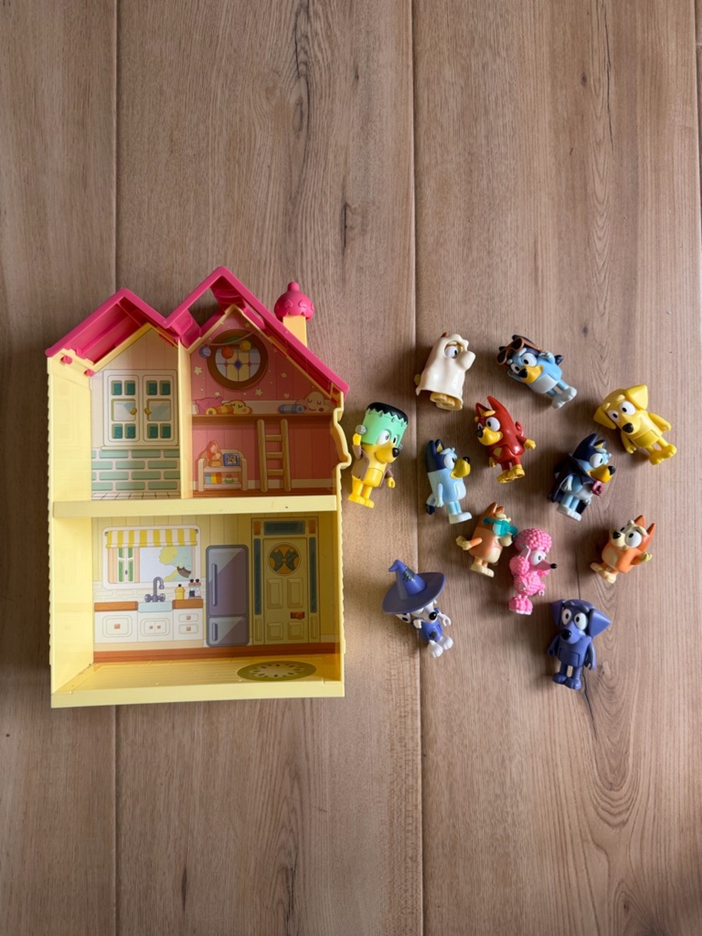 Bluey House + Characters